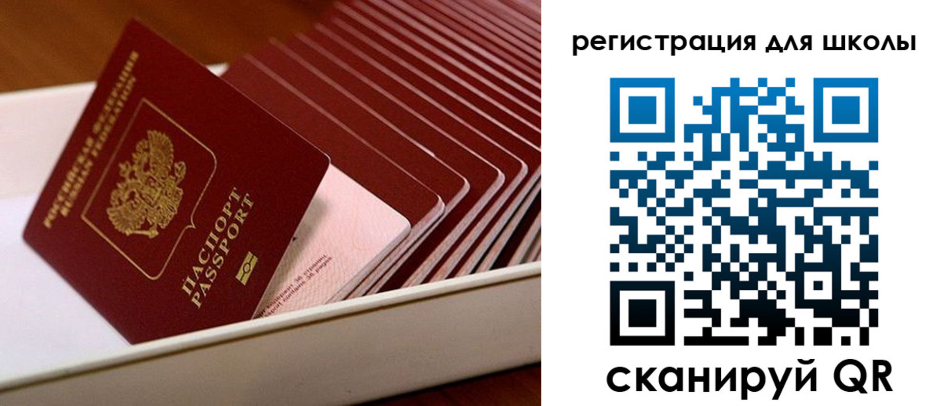 прописка гарантия в Ярославской области